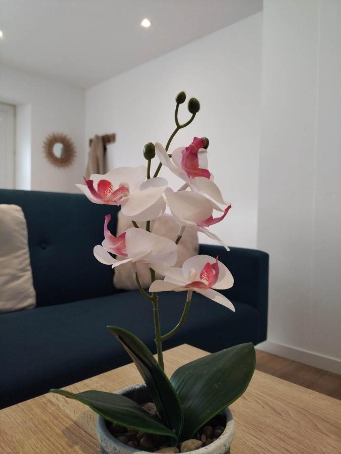 Le Bourgneuf-la-ForetLe Logis Du Bourgneuf Charmante Petite Maison别墅 外观 照片